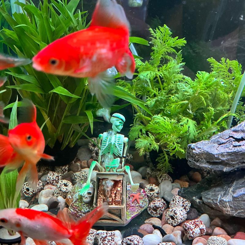 Aquarium Fish Only - 水槽用エアポンプ、水槽の景観を彩るエアーバブル、楽しい水槽装飾、オーナメントアクセサリー、創造的な骨型デザイン