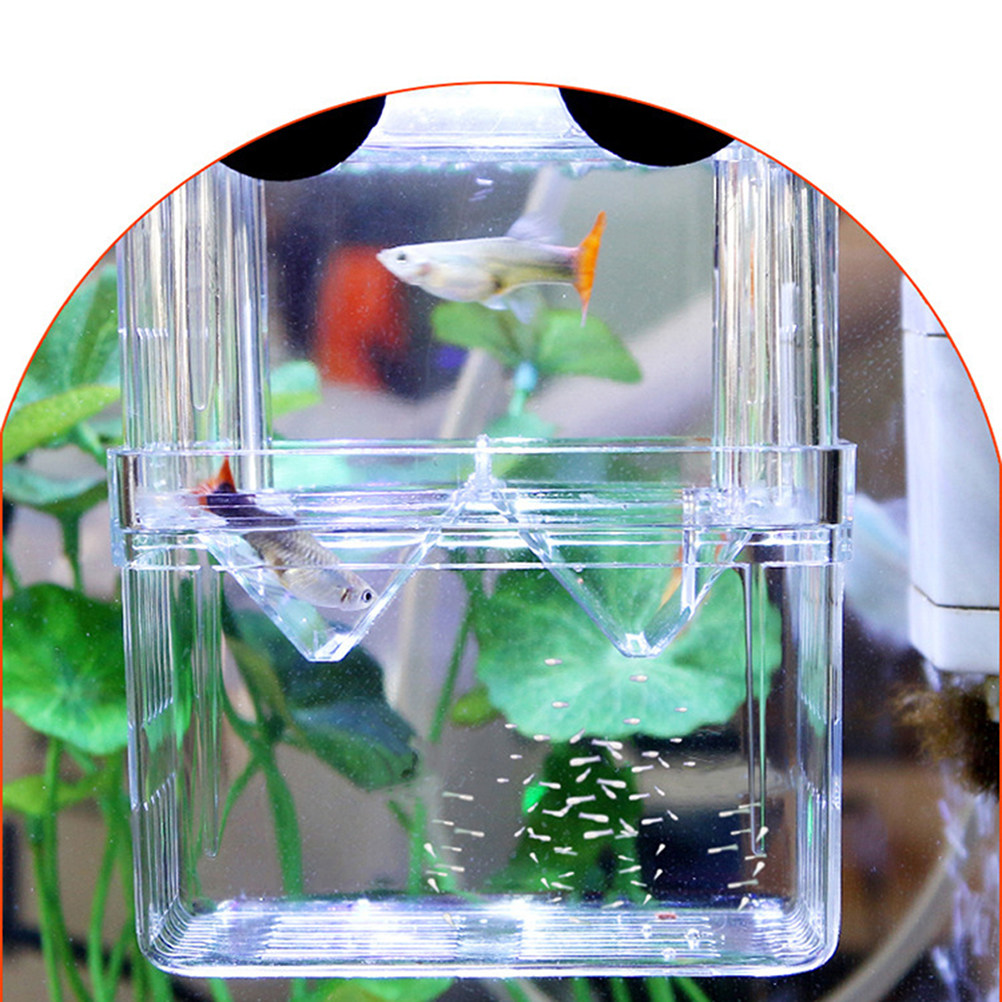 Aquarium Fish Rate - 透明な魚繁殖ボックス、活産魚の産卵隔離タンク、成魚の攻撃を防ぎ、高い生存率を実現する水槽