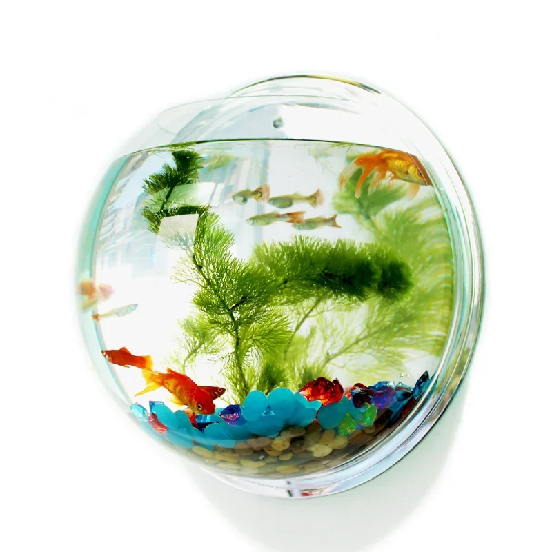 Aquarium Fish Jar - Pinsjar アクリル金魚鉢壁掛け水族館タンク水生ペット用品ペット製品壁掛け水槽ベタ魚用