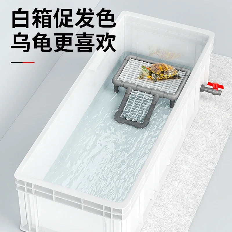 Fish Co Aquarium - カメ水槽 大型カメ専用 池底フィルター 魚共養水槽 熱帯雨林風水槽 アクアリウムタンク
