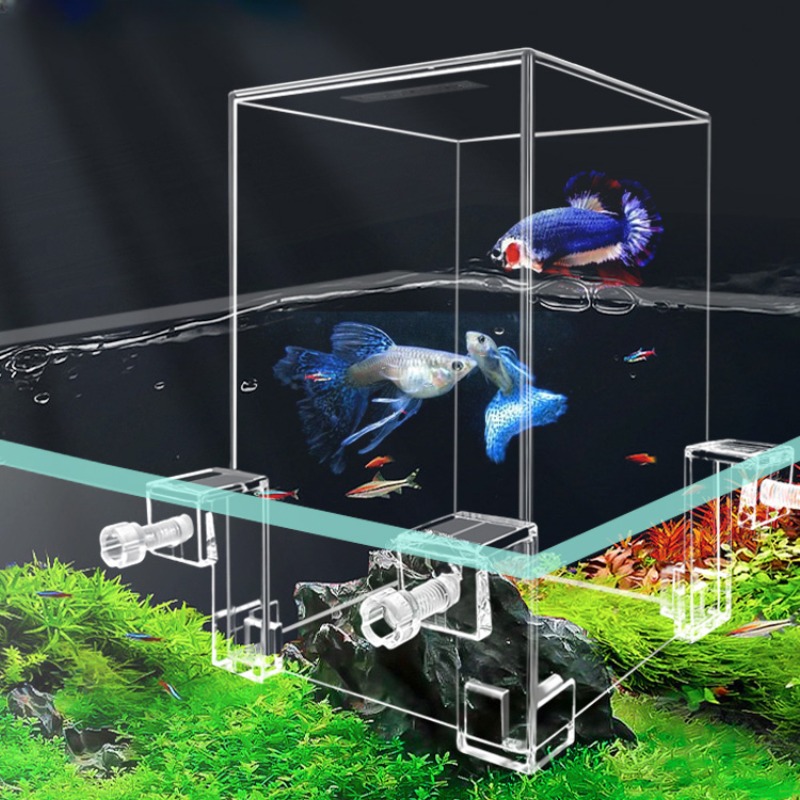 Aquarium Fish Jar - 小さな魚のための負の圧力、創造的な装飾、エコロジカル水族館、ポットの分離、カクテルボウル