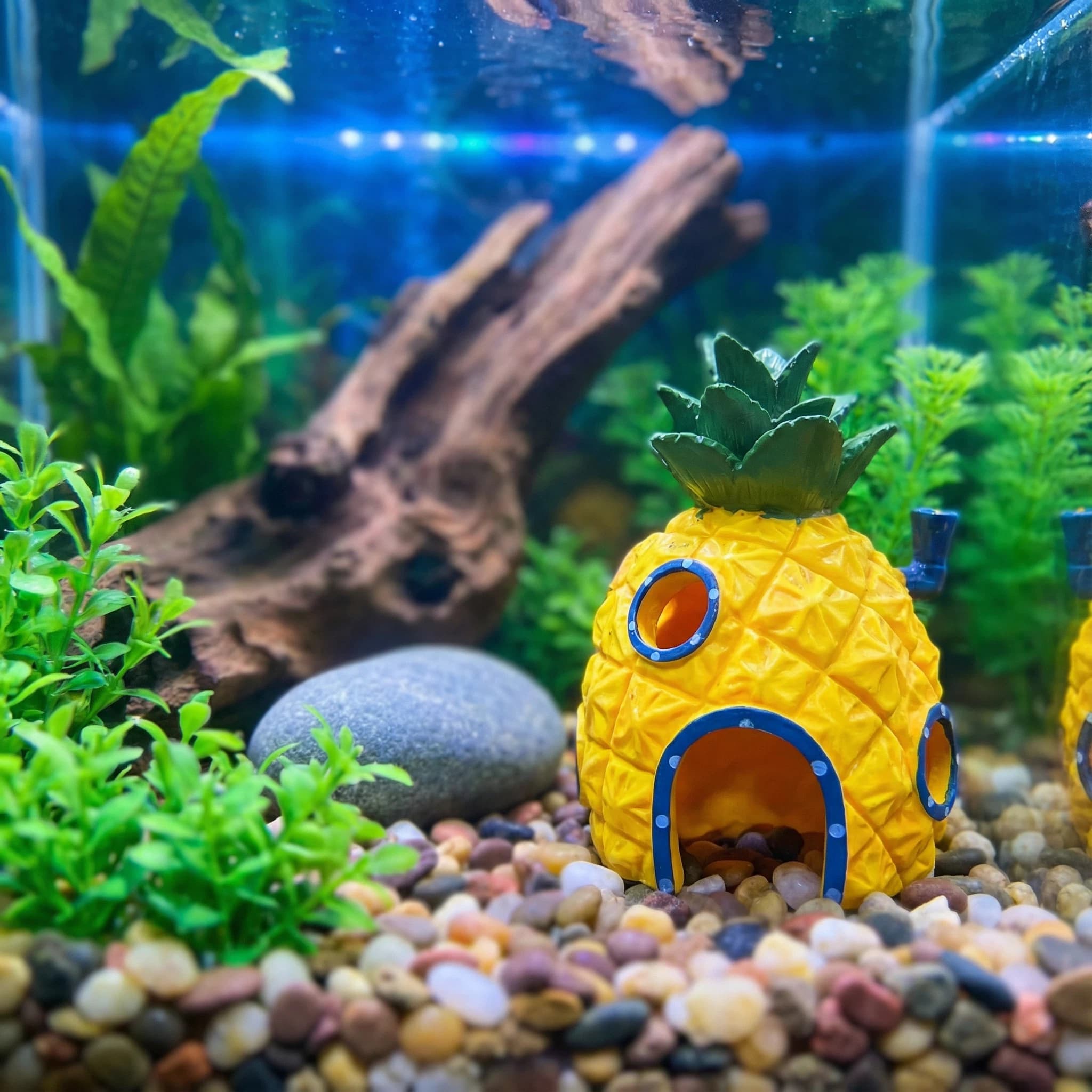 Aquarium Fish Hiding Places - パイナップルハウス水族館装飾、エコフレンドリーな樹脂製ベタエビ用隠れ家、滑らかなエッジの水槽装飾品 4.52インチ