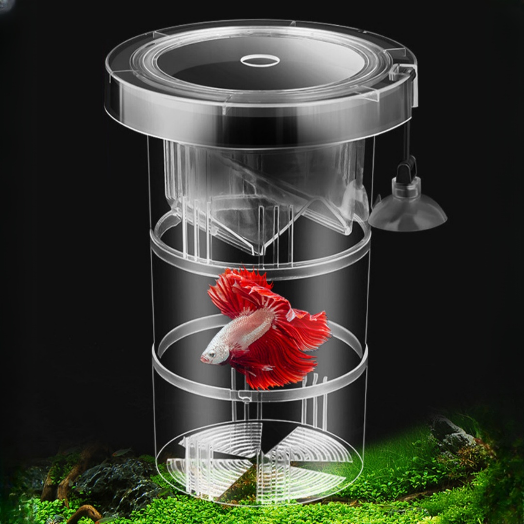 Aquarium Fish Jar - アクリル製浮遊魚繁殖隔離ボックス水槽飼育者フィーダー水槽孵化インキュベーター水槽孵化場アクセサリー