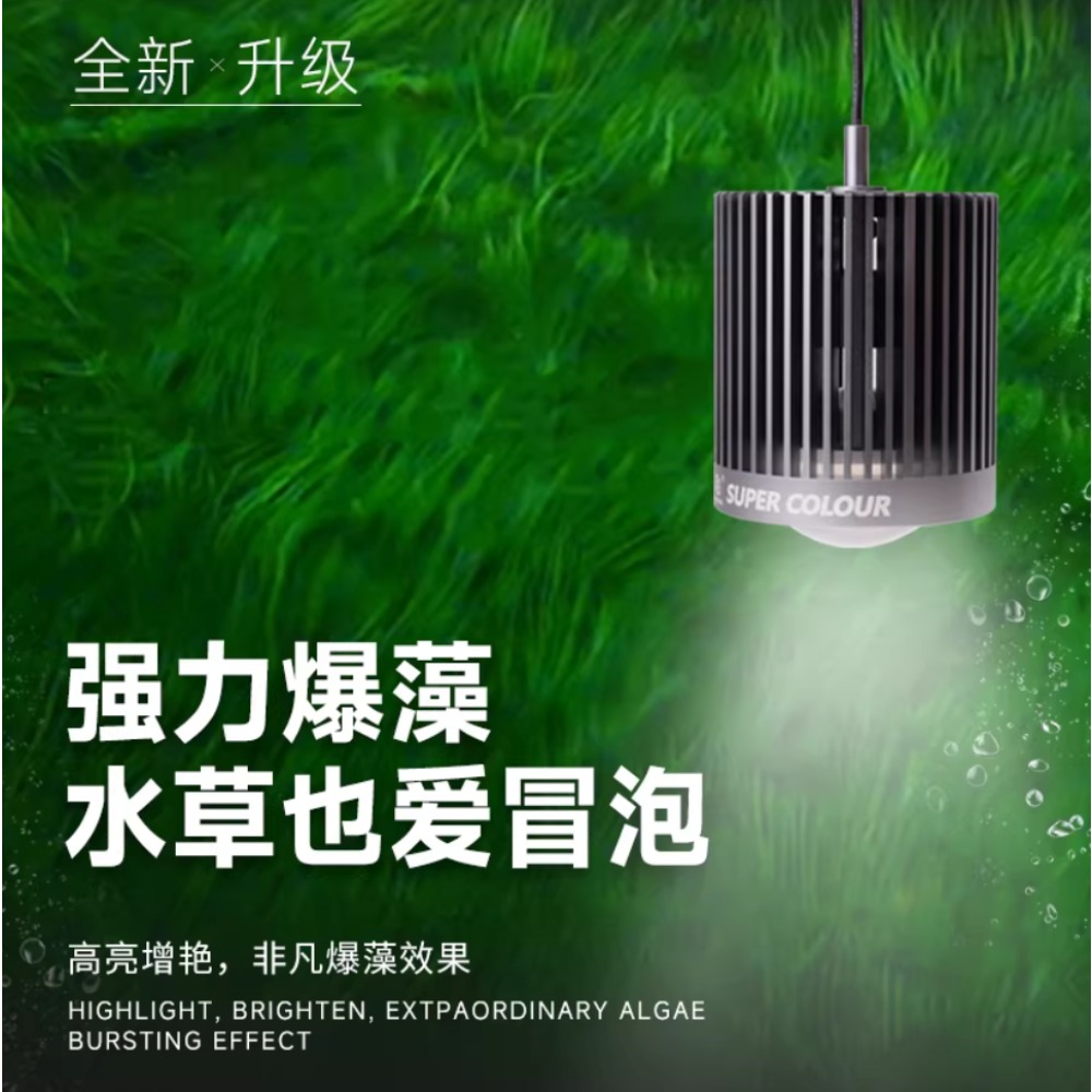 メイイン スーパーカラー水槽 100W LEDダウンライト  - Aquarium Fish Colour のレビューと価格