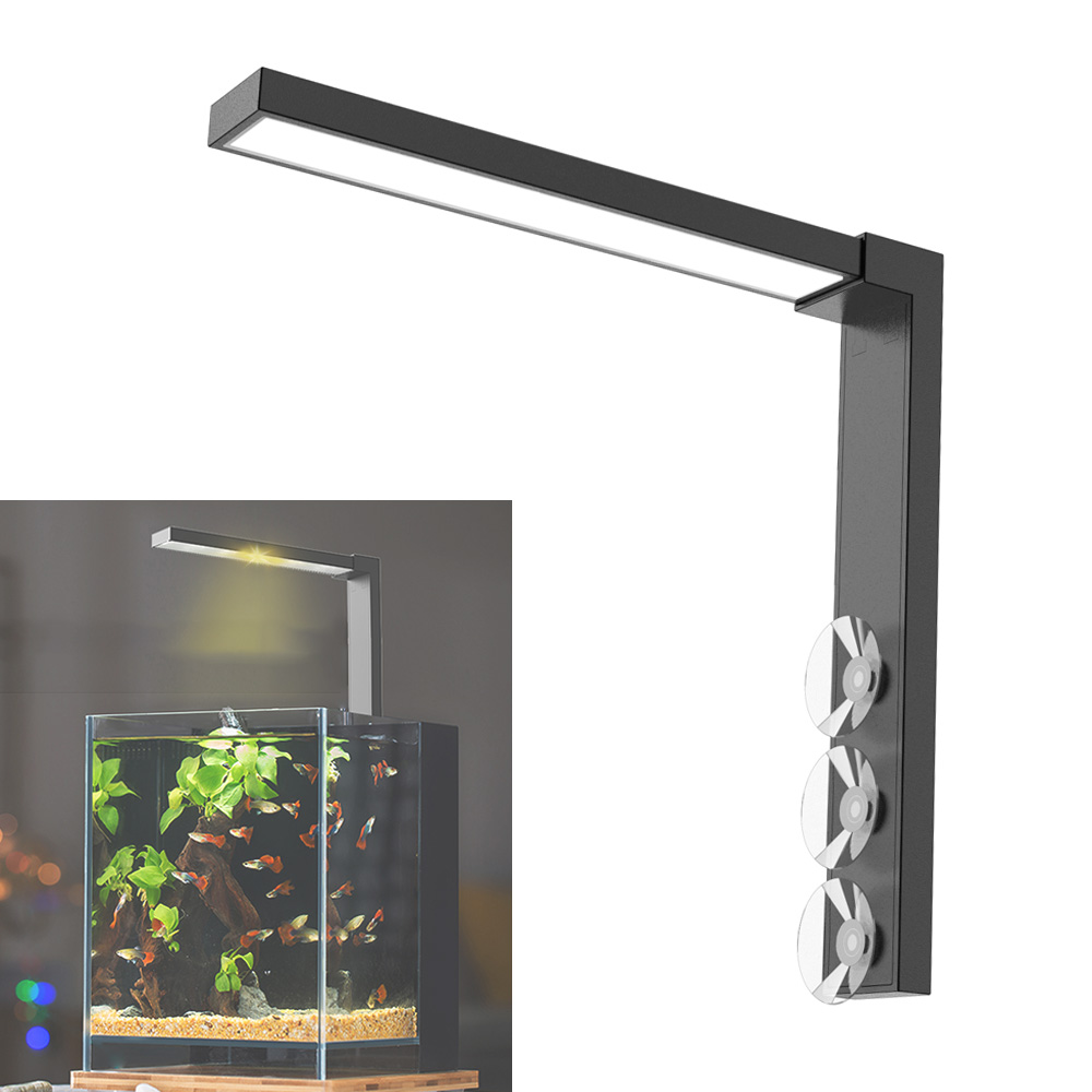 小さな魚のボウル、デスクトップ水族館、軽くたたく、堆肥化植物 - Aquarium Fish Jar のレビューと価格