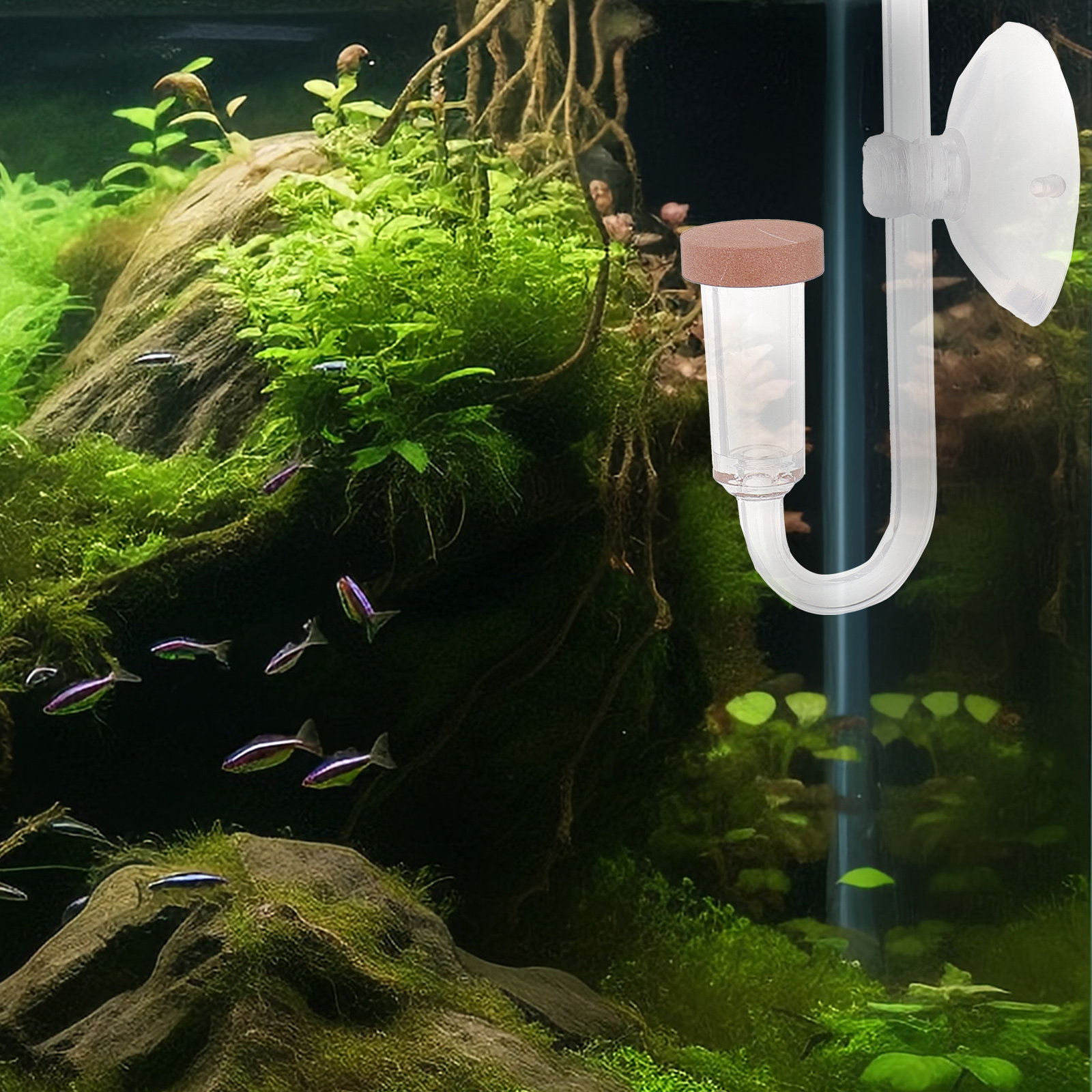 水槽用CO2精製器 透明アクリルディフューザー 水槽用酸素精 - Aquarium Fish Rate のレビューと価格
