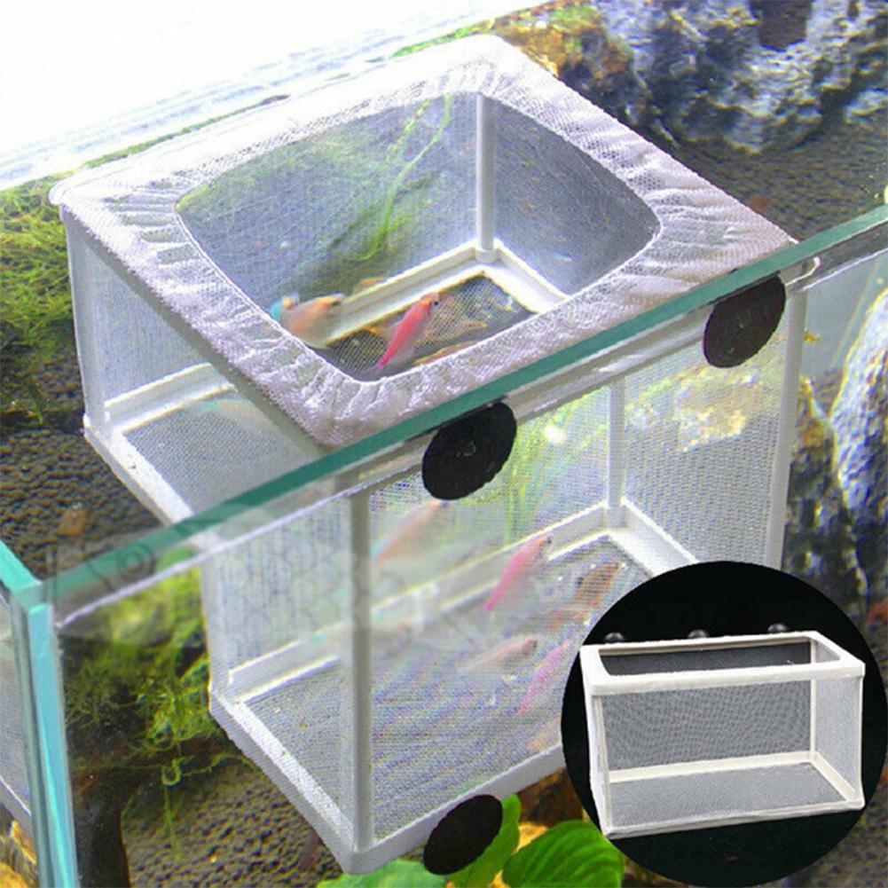 水槽用魚繁殖箱 吸盤付き - 白色プラスチック製、2サイズ展 - Aquarium Fish Jar のレビューと価格