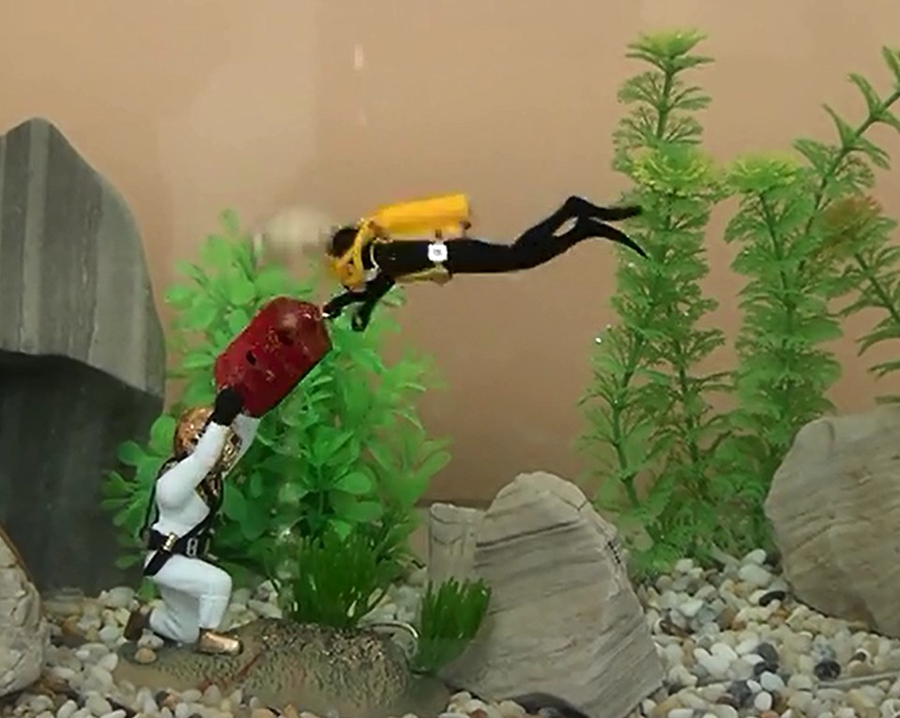 ホット水族館の装飾海底綱引き水槽の装飾水族館タンク W76  - Aquarium Fish Gif のレビューと価格