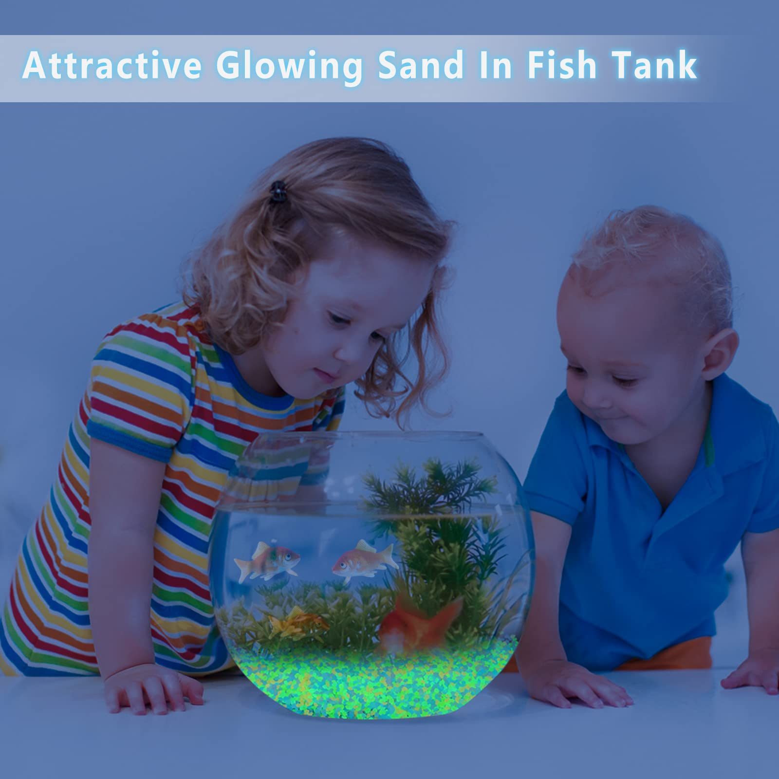 1000個の夜光砂、暗闇で光る小石、家の庭、屋外の小道、芝生 - Aquarium Fish Farm のレビューと価格
