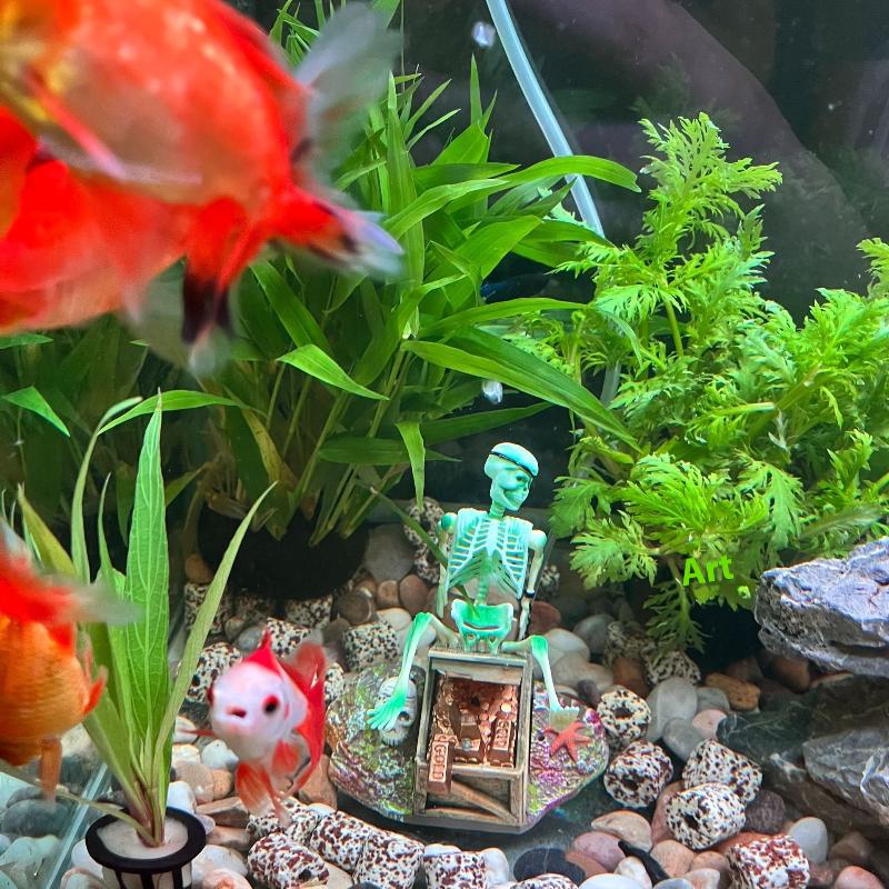 水槽用エアポンプ、水槽の景観を彩るエアーバブル、楽しい水槽装 - Aquarium Fish Only のレビューと価格