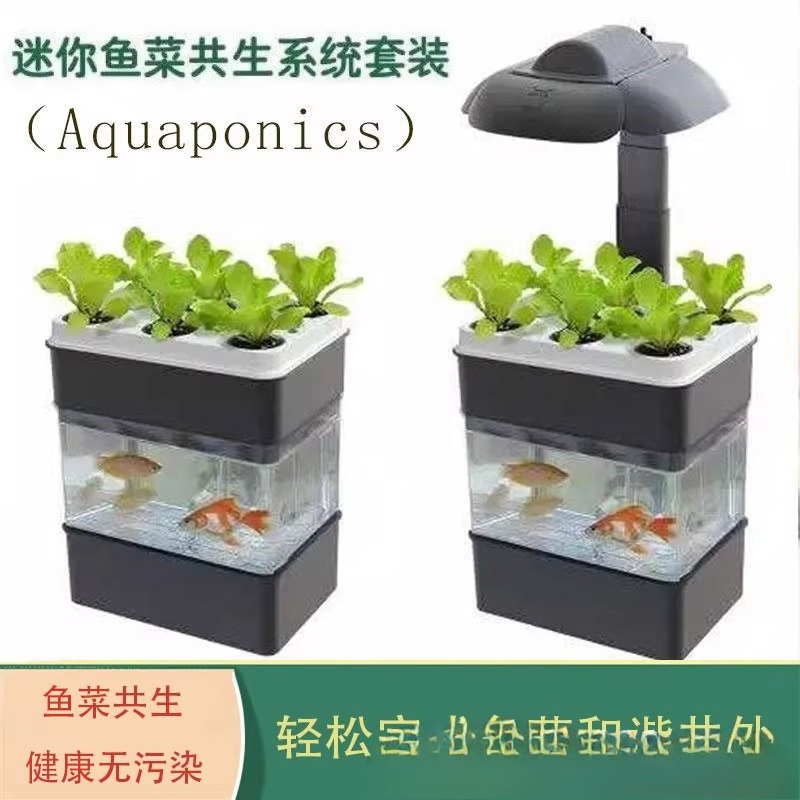 輸出水槽水族館の小さな生態 - Aquarium Fish Exporter のレビューと価格