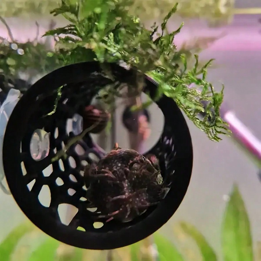 ベタ魚の隠れ家、中空チューブ型オーナメント、吸盤付き、安全な - Aquarium Fish Hiding Places のレビューと価格