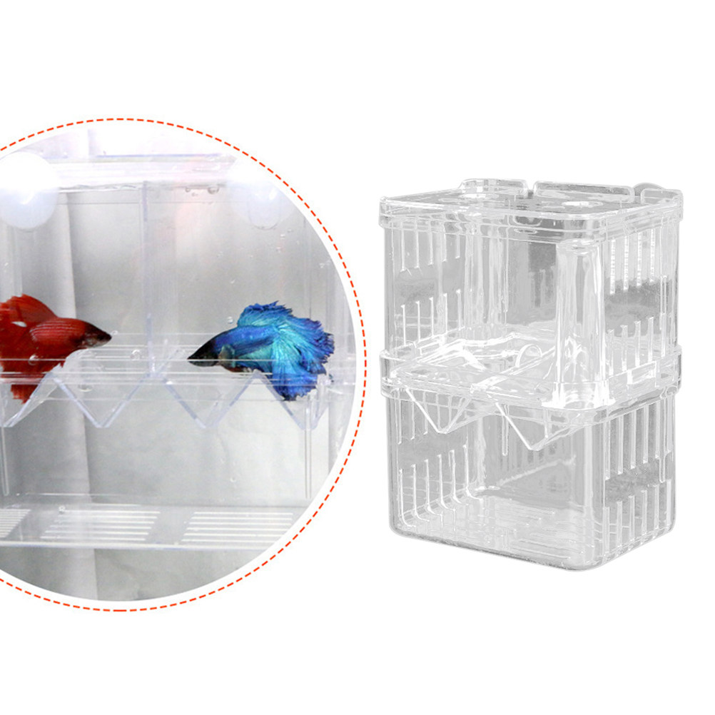 透明な魚繁殖ボックス、活産魚の産卵隔離タンク、成魚の攻撃を防 - Aquarium Fish Rate のレビューと価格
