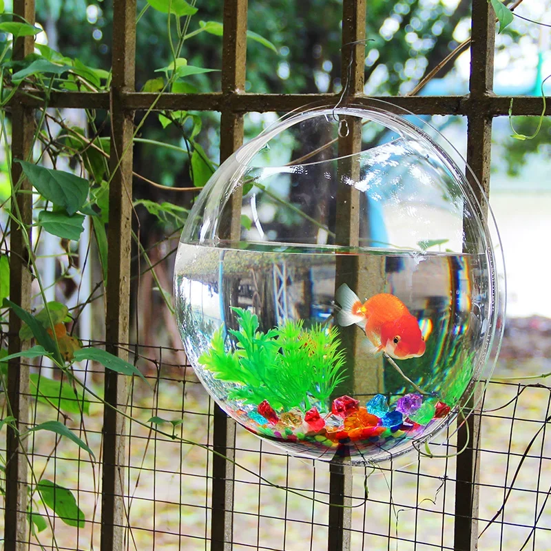 Pinsjar アクリル金魚鉢壁掛け水族館タンク水生ペット用 - Aquarium Fish Jar のレビューと価格