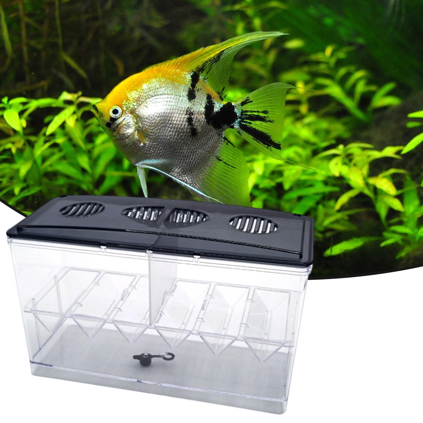 フローティングフィッシュ繁殖隔離ボックス取り外し可能透明お手 - Aquarium Fish Jar のレビューと価格