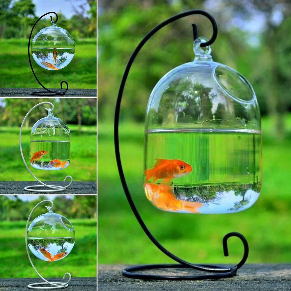 水槽飾り壁掛けラックホルダー付きホームデコレーション水槽魚鉢 - Aquarium Fish Jar のレビューと価格