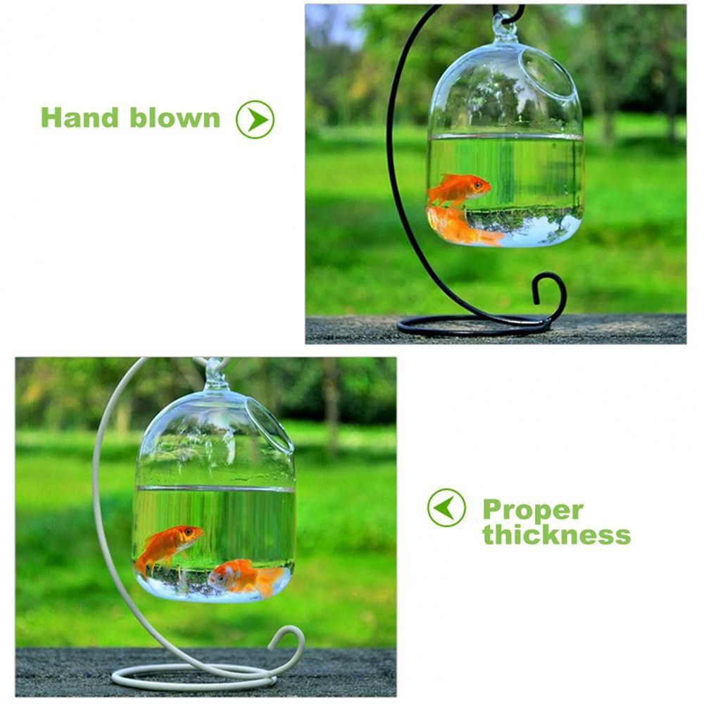 水槽飾り壁掛けラックホルダー付きホームデコレーション水槽魚鉢 - Aquarium Fish Jar のレビューと価格