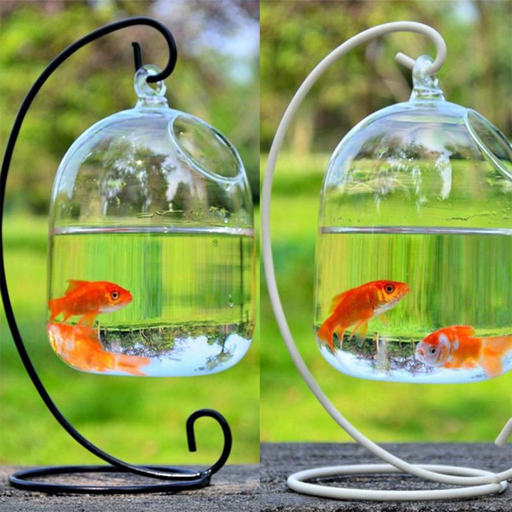 水槽飾り壁掛けラックホルダー付きホームデコレーション水槽魚鉢 - Aquarium Fish Jar のレビューと価格