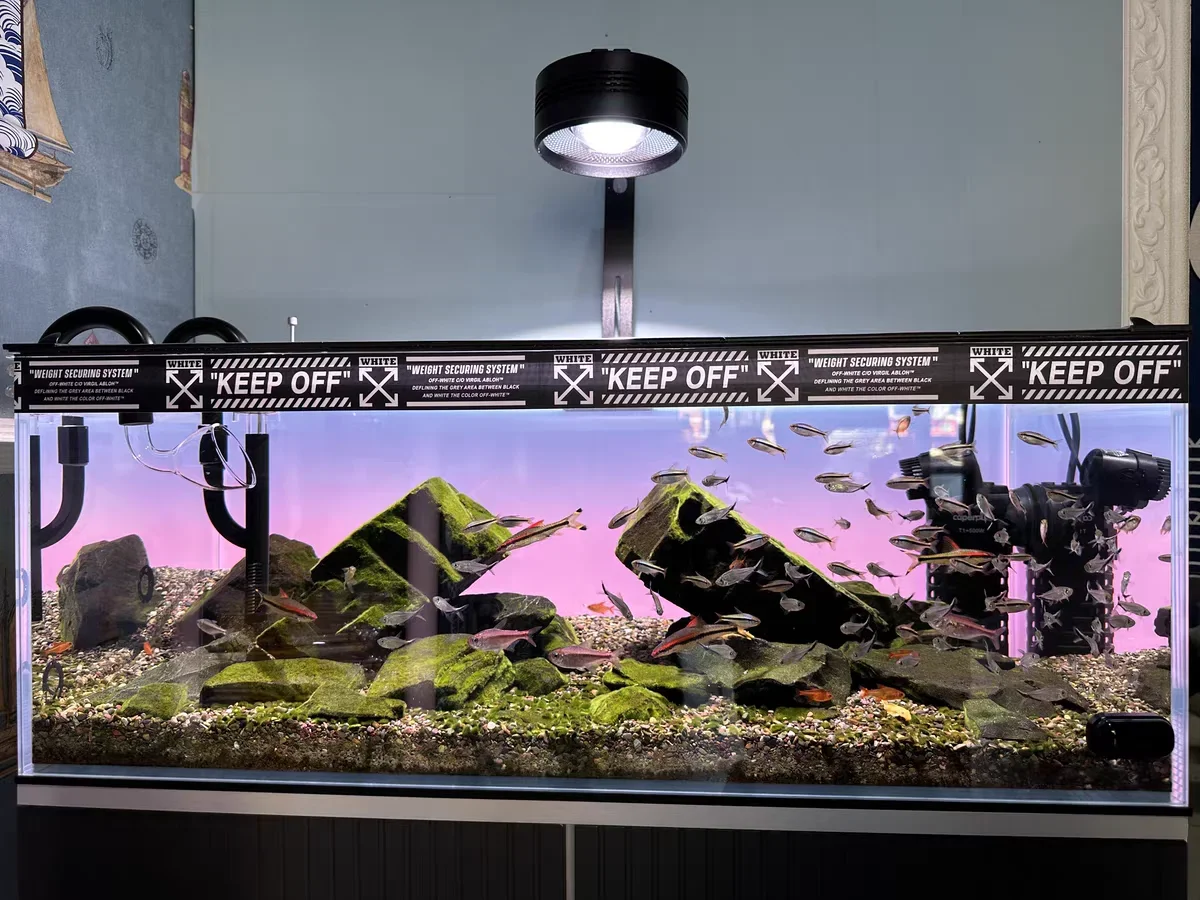RGBアクリル製水槽背景 カラフルなグラデーション発光 AP - Aquarium Fish Colour のレビューと価格