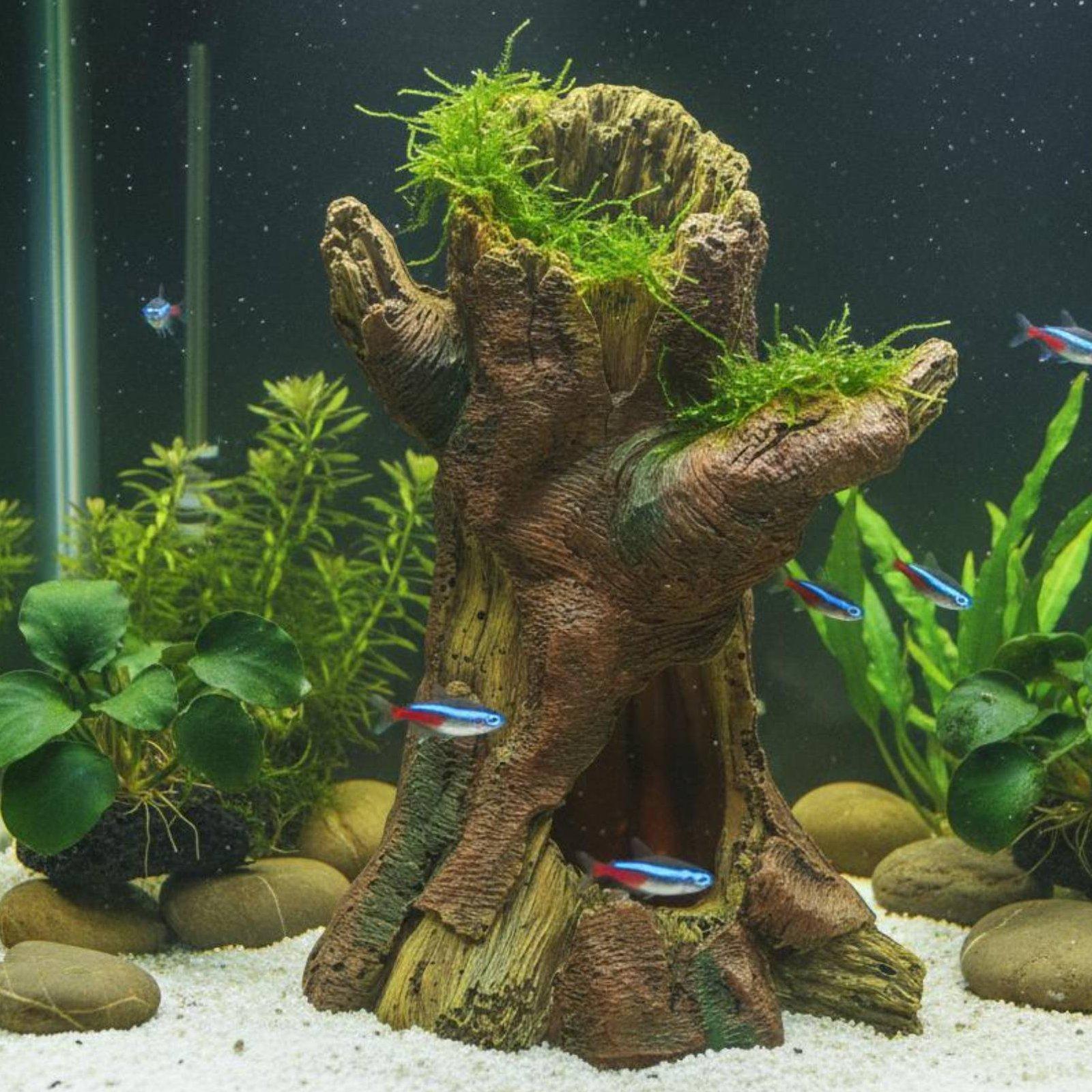 水槽の景観装飾、水槽デコレーション、樹脂製の木の幹のシェルタ - Aquarium Fish Tank のレビューと価格