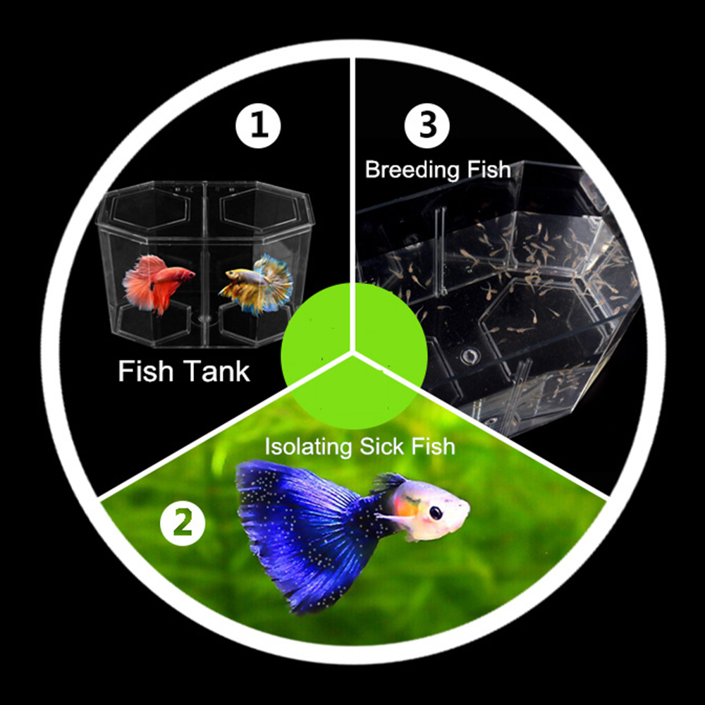 アクリル 2 分割グッピー水槽水族館ベタ金魚鉢透明水族館孵化 - Aquarium Fish Jar のレビューと価格