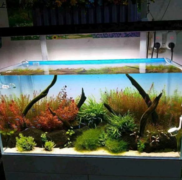 RGBアクリル製水槽背景 カラフルなグラデーション発光 AP - Aquarium Fish Colour のレビューと価格