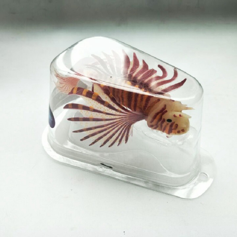 動物の形をした水族館の魚の形をしたおもちゃ,魚の形をした装飾 - Aquarium Fish Exporter のレビューと価格