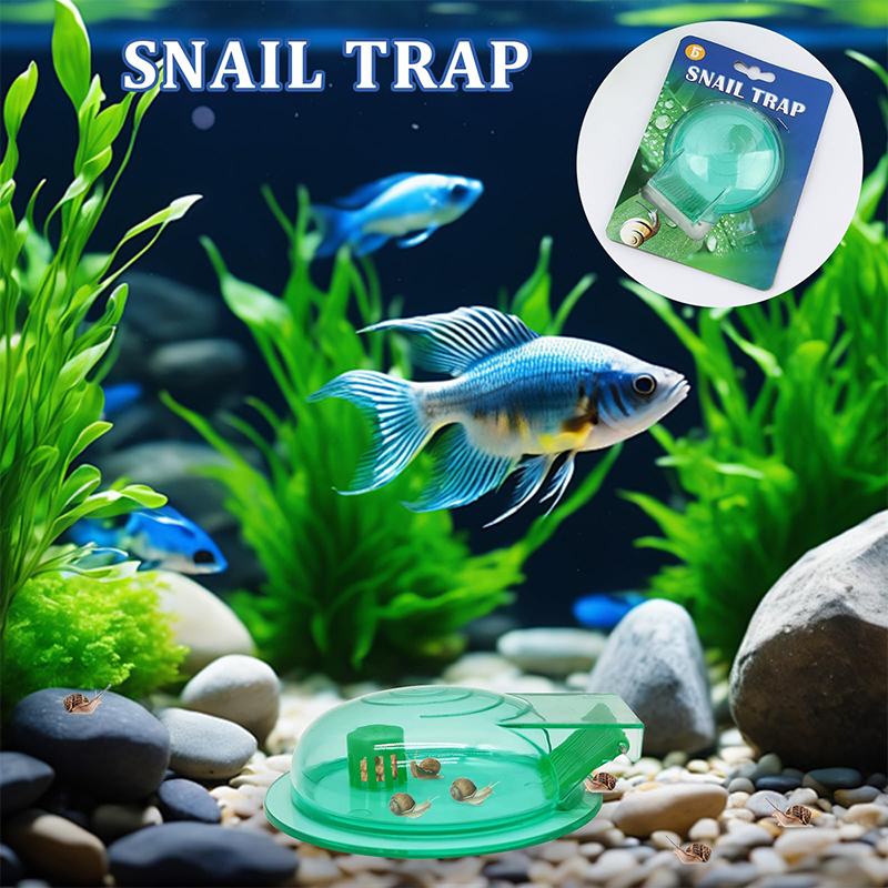 水槽用カタツムリトラップ、淡水魚水槽用プラスチック製カタツム - Aquarium Fish Green のレビューと価格