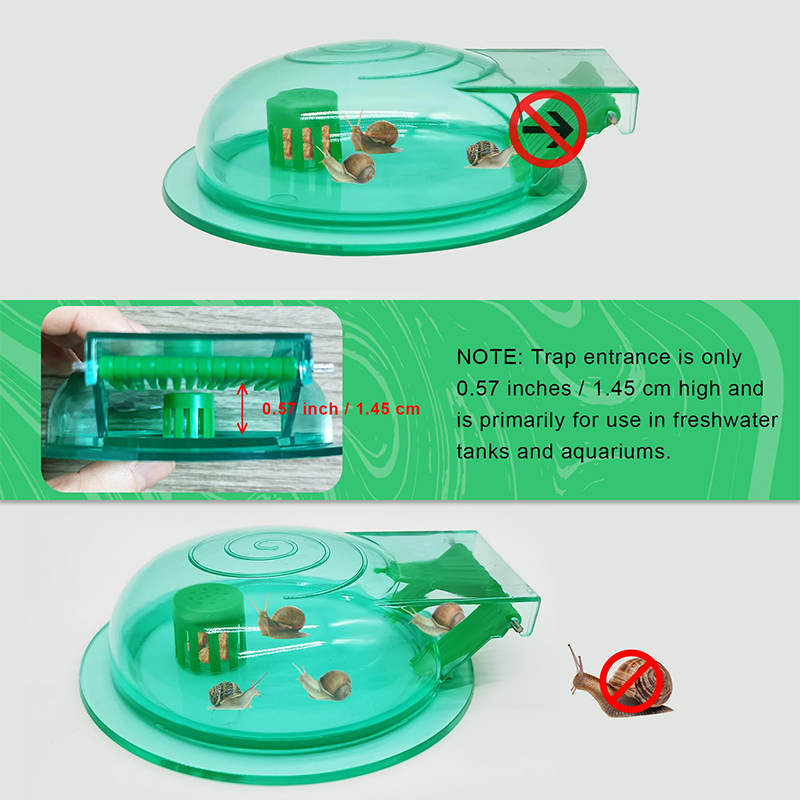 水槽用カタツムリトラップ、淡水魚水槽用プラスチック製カタツム - Aquarium Fish Green のレビューと価格