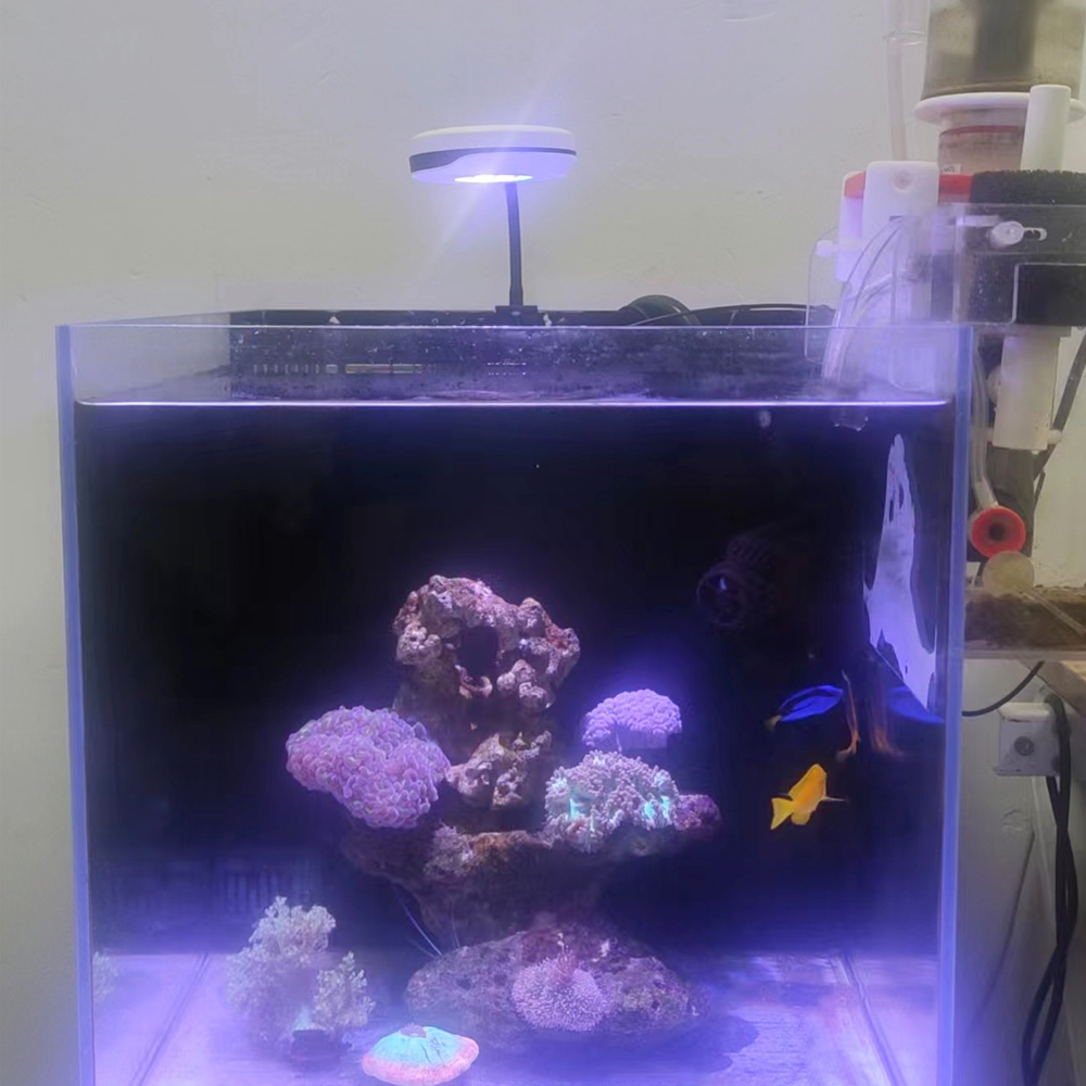 20W Spectra SP20 AC110-240V 淡水 - Refugium Light Nano のレビューと価格
