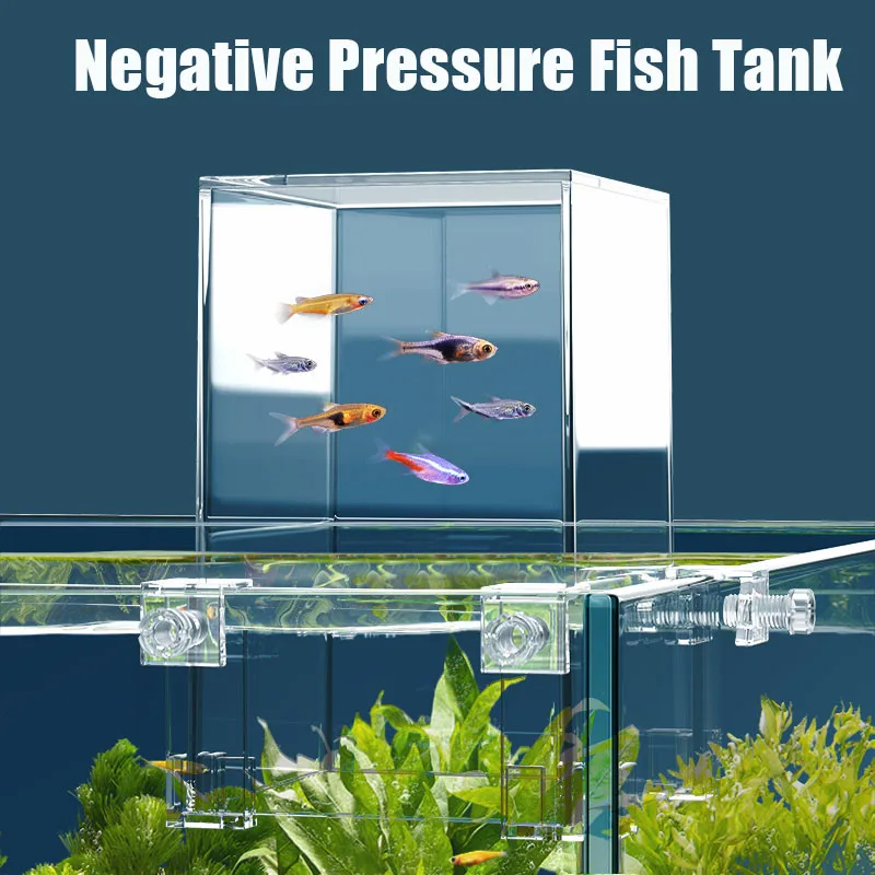 小さな魚のための負の圧力、創造的な装飾、エコロジカル水族館、 - Aquarium Fish Jar のレビューと価格