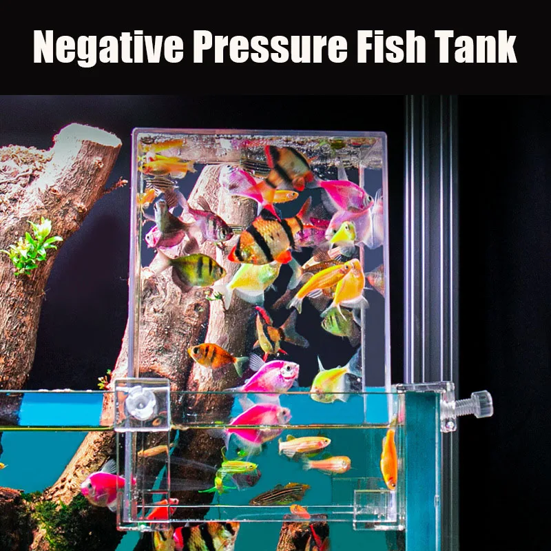 小さな魚のための負の圧力、創造的な装飾、エコロジカル水族館、 - Aquarium Fish Jar のレビューと価格