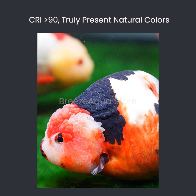 MAYIN スーパーカラー 100W 淡水金魚藻類繁殖防止  - Aquarium Fish Colour のレビューと価格