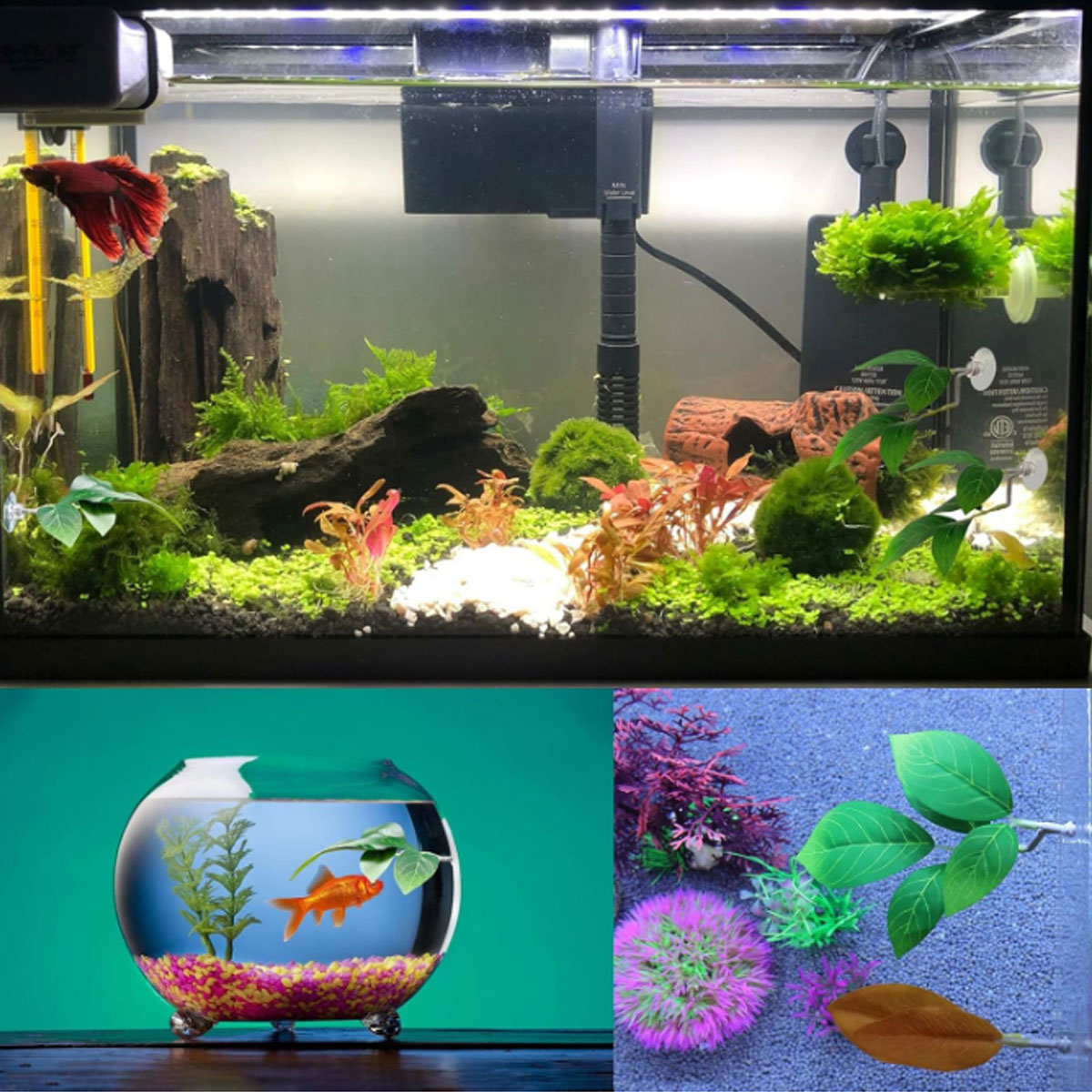 1 PC ベタフィッシュハンモック ソフト水槽装飾 プラスチ - Aquarium Fish Only のレビューと価格