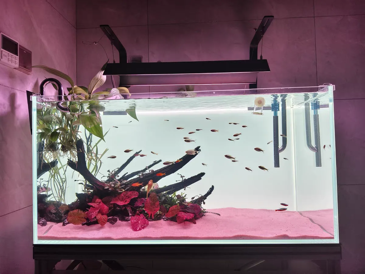 RGBアクリル水槽背景 カラフルグラデーション 発光 アプリ - Aquarium Fish Colour のレビューと価格
