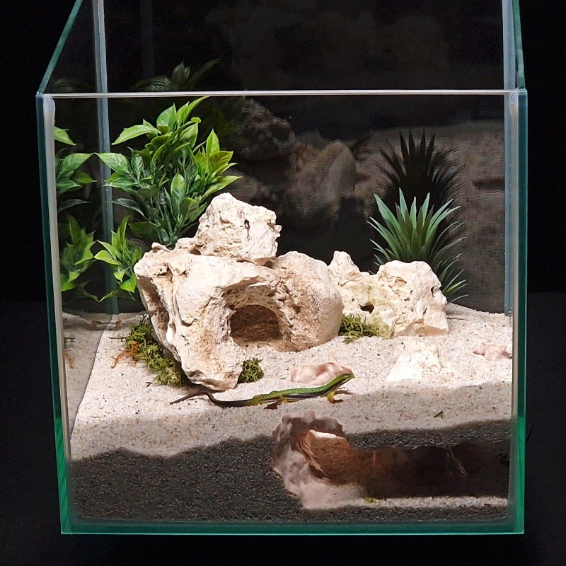 3Dプリント製水槽トンネルシェルター水槽装飾爬虫類隠れ家洞窟 - Aquarium Fish Hiding Places のレビューと価格
