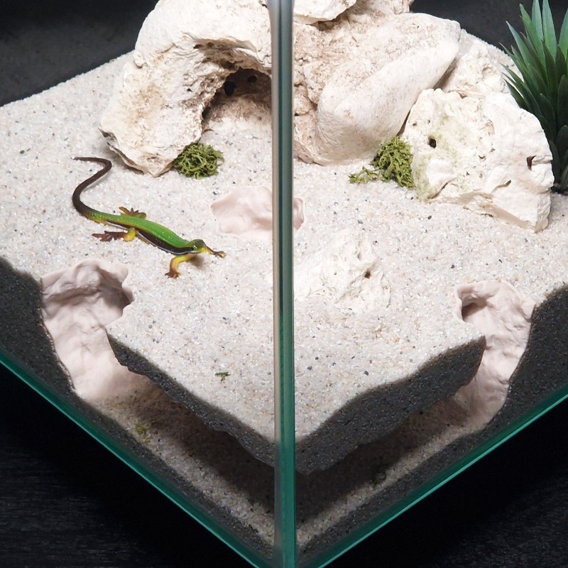 3Dプリント製水槽トンネルシェルター水槽装飾爬虫類隠れ家洞窟 - Aquarium Fish Hiding Places のレビューと価格