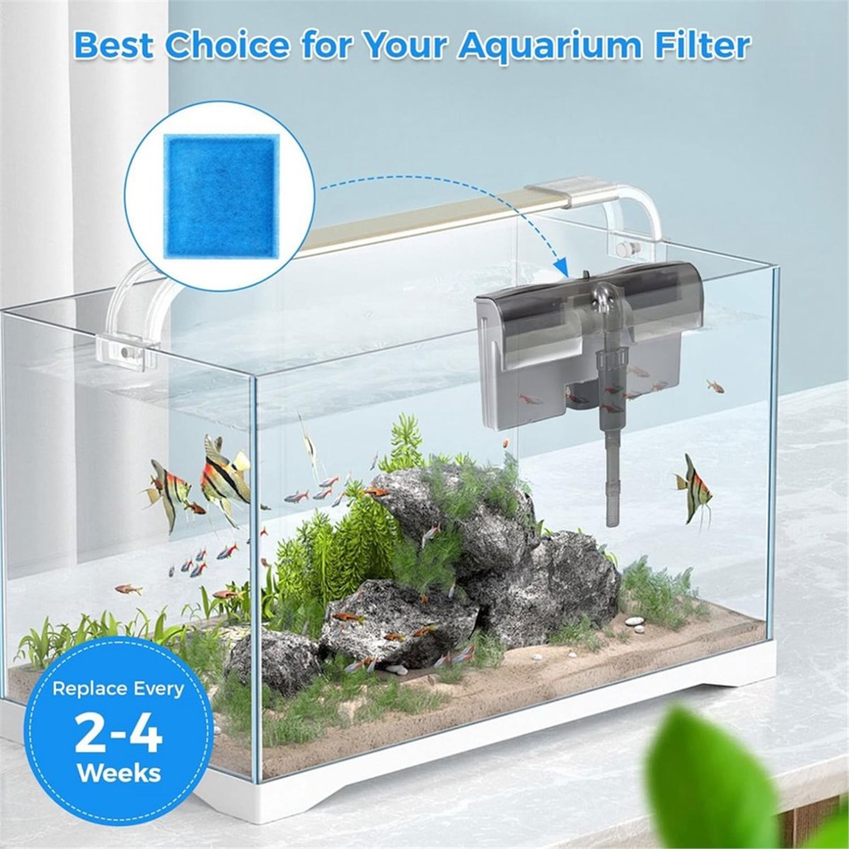 《最高評価》10個入り水槽フィルター交換カートリッジ、ペンギ - Aquarium Fish Rate のレビューと価格