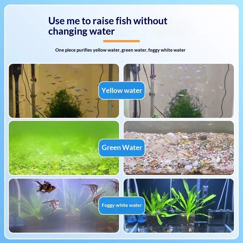 水槽藻類除去タブレット 水が濁らない 速効性藻類除去剤 緑・ - Aquarium Fish Green のレビューと価格