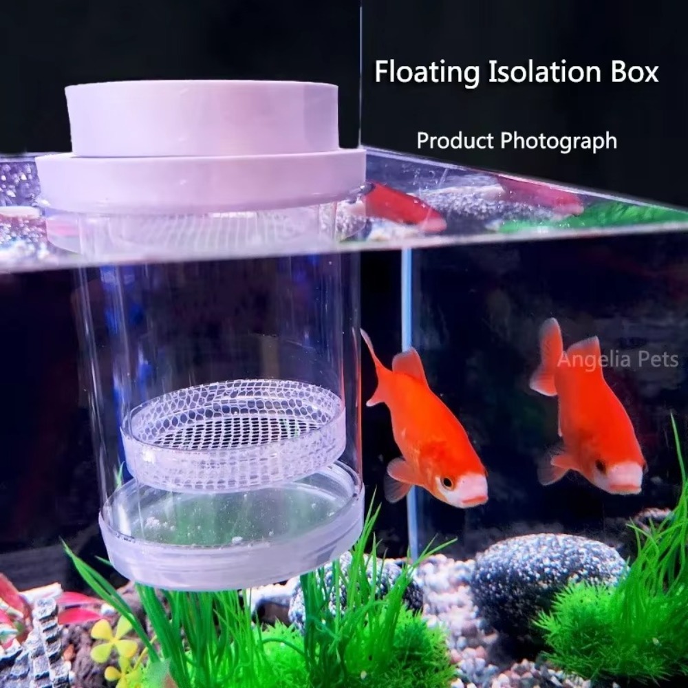 プラスチックフローティング魚飼育隔離ボックス水族館ブリーダー - Aquarium Fish Jar のレビューと価格