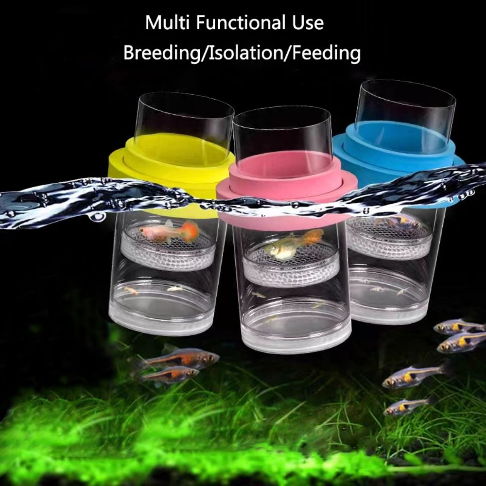 プラスチックフローティング魚飼育隔離ボックス水族館ブリーダー - Aquarium Fish Jar のレビューと価格