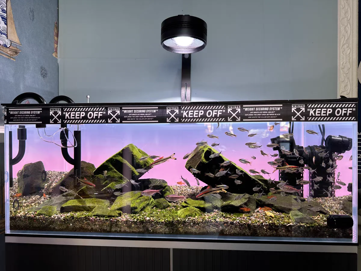 RGBアクリル水槽背景 カラフルグラデーション 発光 アプリ - Aquarium Fish Colour のレビューと価格