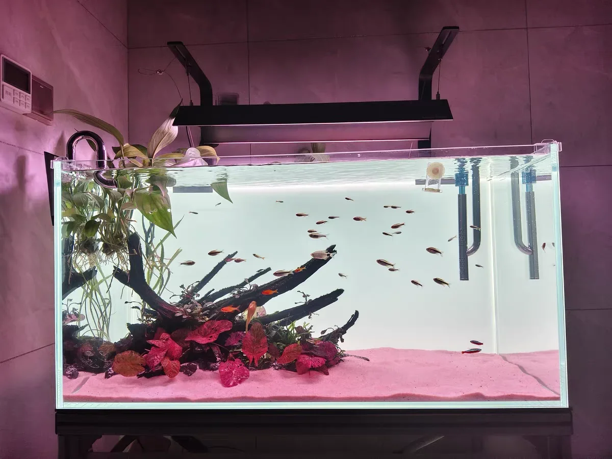 RGBアクリル水槽背景 カラフルグラデーション 発光 アプリ - Aquarium Fish Colour のレビューと価格