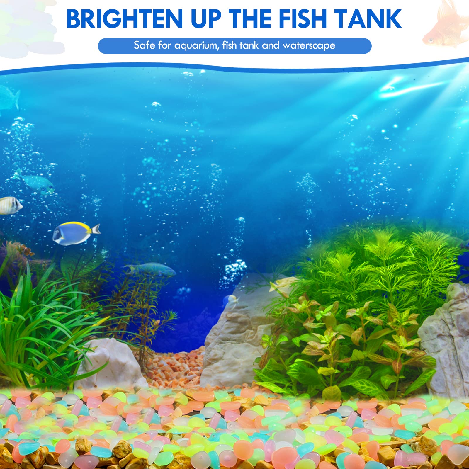 100 個暗闇で光る庭の小石歩道ガーデンテラス芝生庭パティオ - Aquarium Fish Farm のレビューと価格