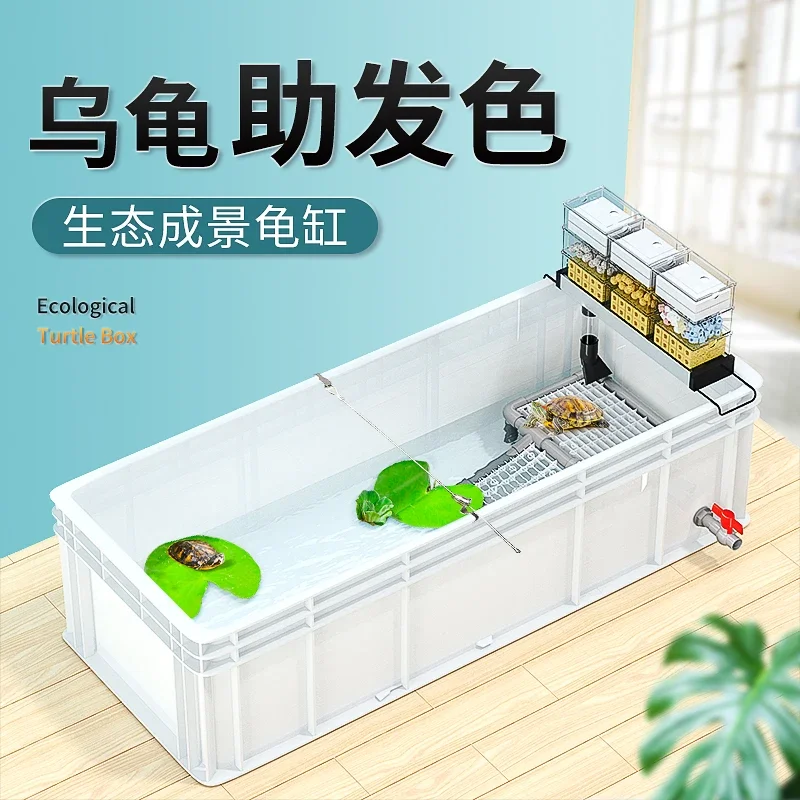 カメ水槽 大型カメ専用 池底フィルター 魚共養水槽 熱帯雨林 - Fish Co Aquarium のレビューと価格