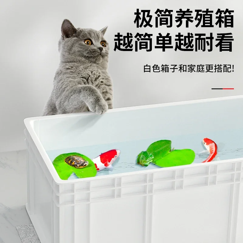 カメ水槽 大型カメ専用 池底フィルター 魚共養水槽 熱帯雨林 - Fish Co Aquarium のレビューと価格