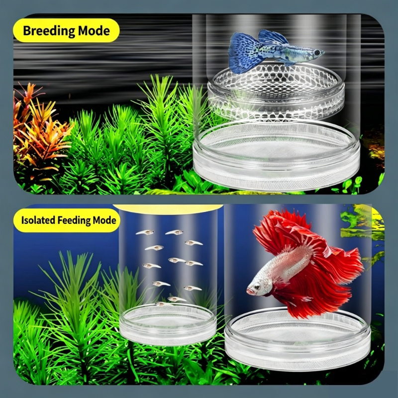 透明なフローティングアクアリウム孵化ボックス、グッピー、ゼブ - Aquarium Fish Jar のレビューと価格