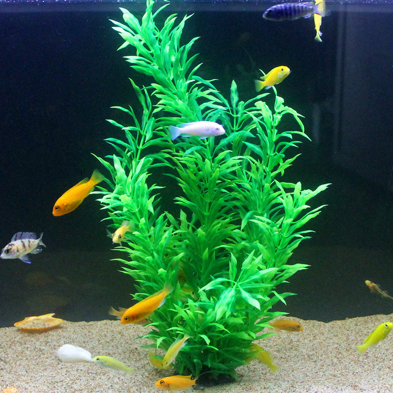 人工水槽50cm,珍しい植物,水族館,偽の竹の葉,水草,プラ - Aquarium Fish Only のレビューと価格