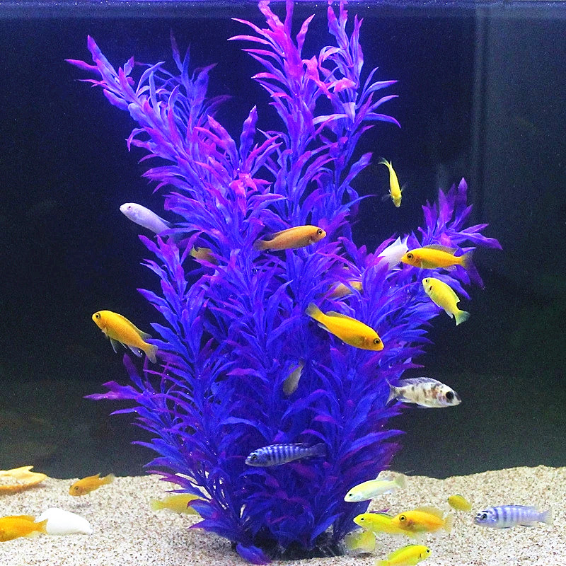 人工水槽50cm,珍しい植物,水族館,偽の竹の葉,水草,プラ - Aquarium Fish Only のレビューと価格