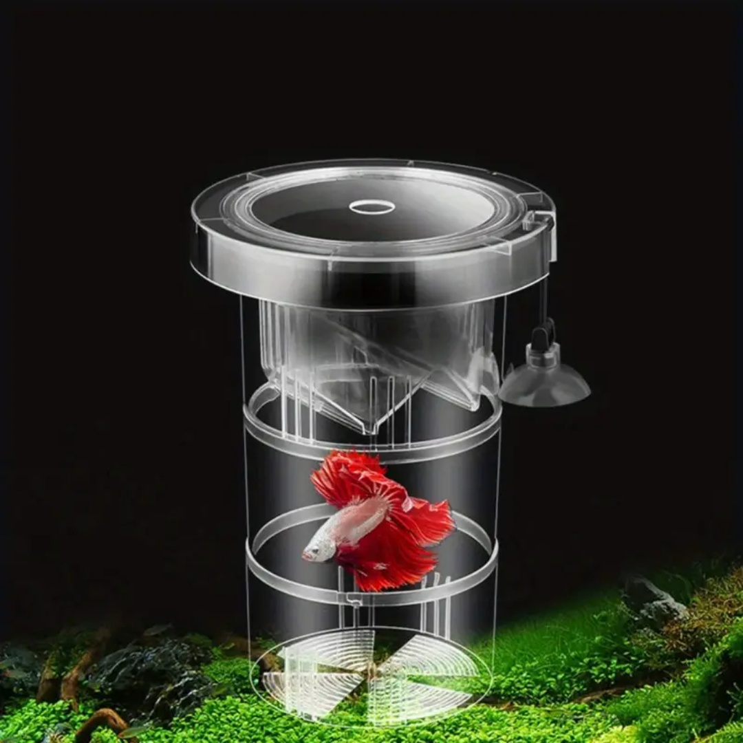 アクリル製浮遊魚繁殖隔離ボックス水槽飼育者フィーダー水槽孵化 - Aquarium Fish Jar のレビューと価格